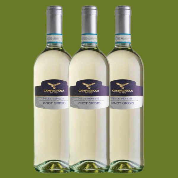 CAPAGNOLA PINOT GRIGIO VENETO, ITALY CAPAGNOLA PINOT GRIGIO VENETO, ITALY