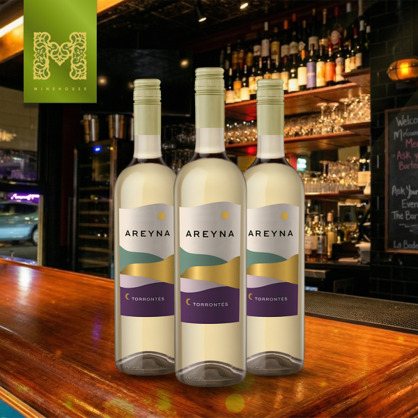 AREYNA TORRONTES AREYNA TORRONTES